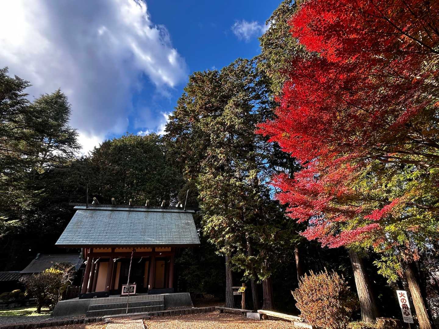 青梅駅-天祖神社登山口-二ッ塚峠-倉戸山-満地峠-浅間岳- 縦走コースの写真