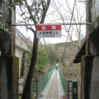 １度に５人しか乗れないつり橋を渡って