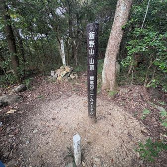 喋ってたら着いちゃった🥾

秋なのに汗だく💦