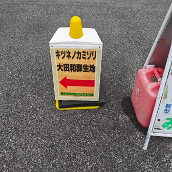 キツネノカミソリ大田和群生地案内板