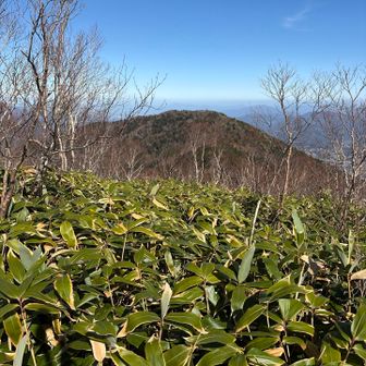 隣の霊山寺山まで行ってみよう