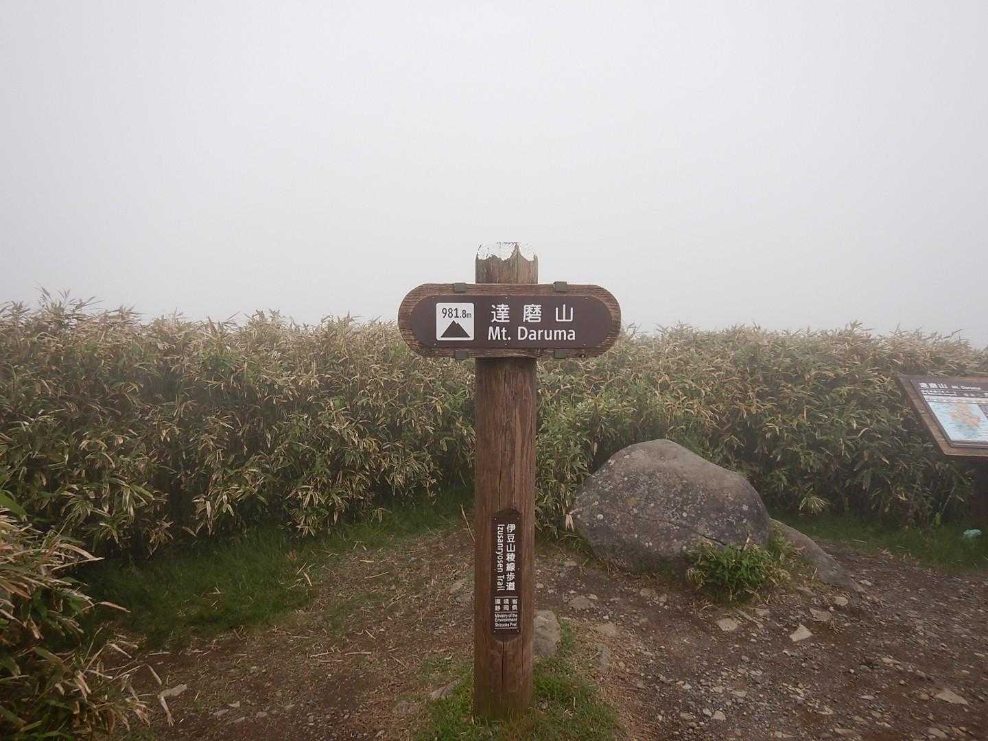 ようやく達磨山登頂☺️