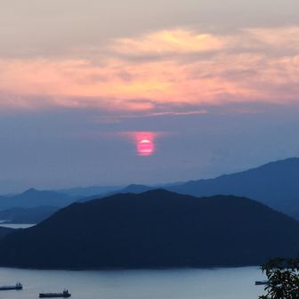 少しズーム📸