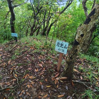 頂上。このさき展望台あり。