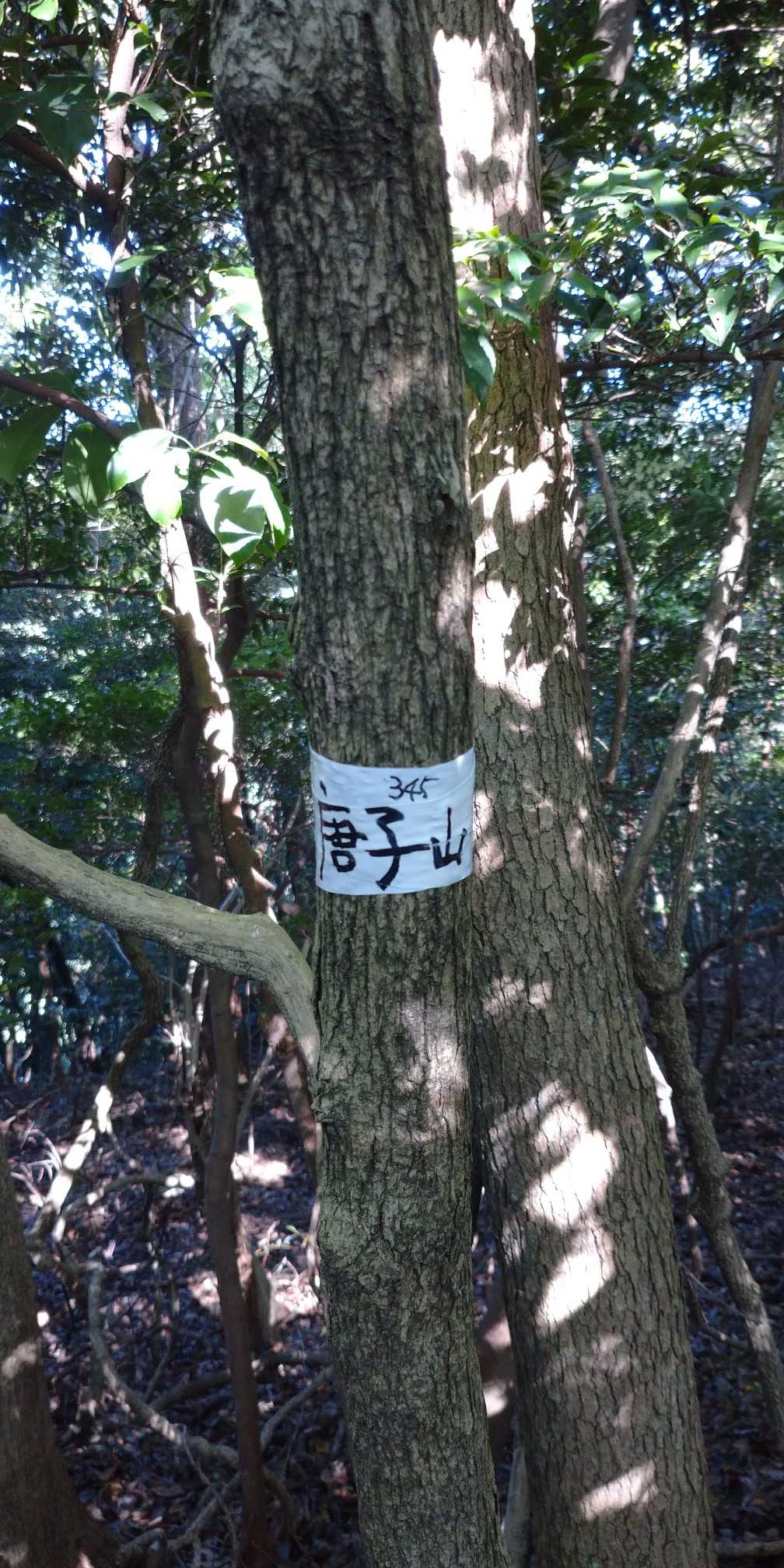 程なく到着眺望なし、東西に広い頂上です！