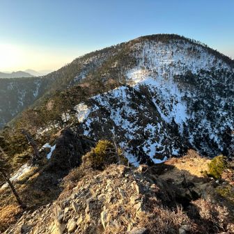 そのまま中ノ尾根山へ
美しいです✨白倉林道の登山口から上がった分岐から見る中ノ尾根山に負けず劣らずの美しさですね✨なんとなくですが、こちらはよりワイルドな感じがします(^^)