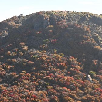 南峰
暫くどのルートを歩こうか思案