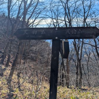 天狗山の鞍部に着きました‼️