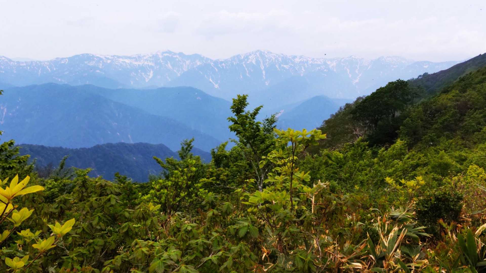 猿ヶ山～別山～白山～笈ヶ岳～大笠山～奈良岳～大門山､､､
ぜ～んぶ見えたよ🥳