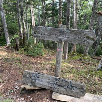 からの牛首山⛰️
ここも景色無し😣