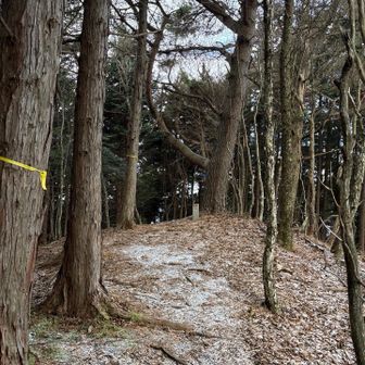 再びテクテク････