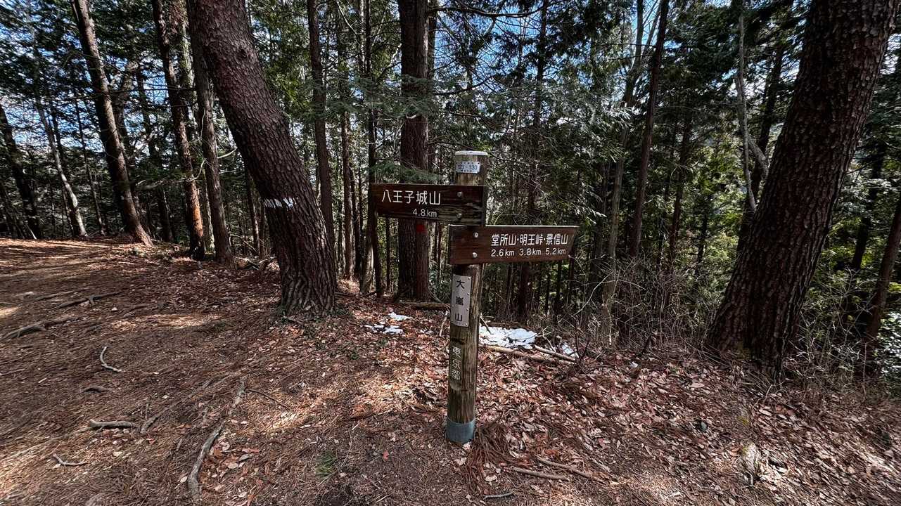 奥高尾〜裏高尾縦走（陣馬山・堂所山・富士見台・駒木野） の写真 42