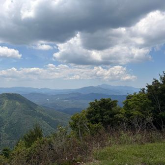 遠くに大山！すごく良い眺め✨