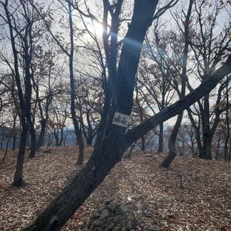 登山道もわからないほどの落ち葉。