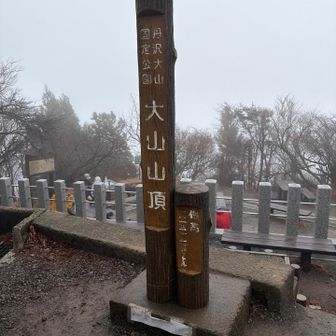 登頂！ガスガス&強風で眺望は皆無。春一番が吹いたとのことでした。が、気持ちはスッキリ満足！やっぱり山は良い👍