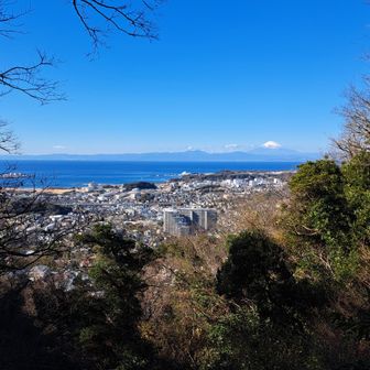 関東の富士見百景🤩