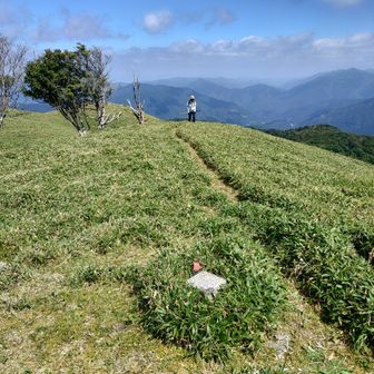 頂上より中尾山側にある三角点