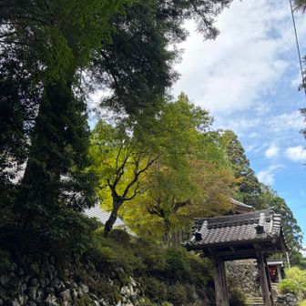 麓のお寺に、無事下山
連休最終日、おだやかないい山歩きであった
ありがとう
