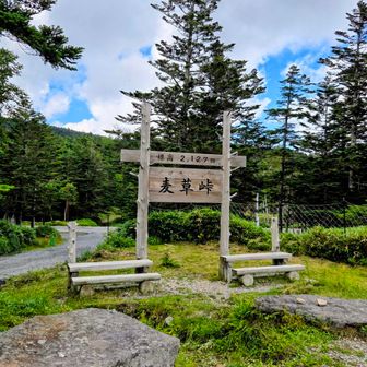 この看板が一番今回のコースで看板らしい✨️