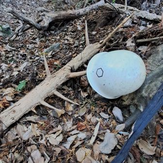 なぜヘルメットある❔🤔