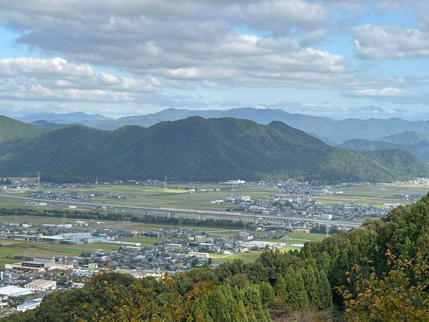 きた！