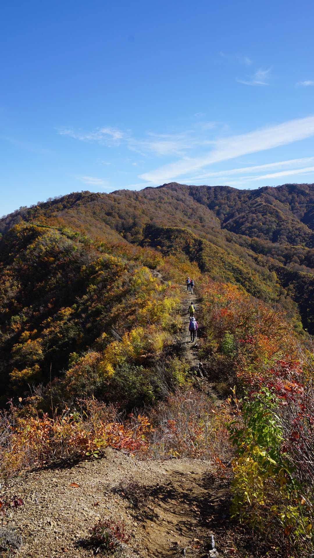 長い尾根歩きが爽快