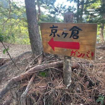 道迷いしそうなポイントに手作りの標識があるのも好感