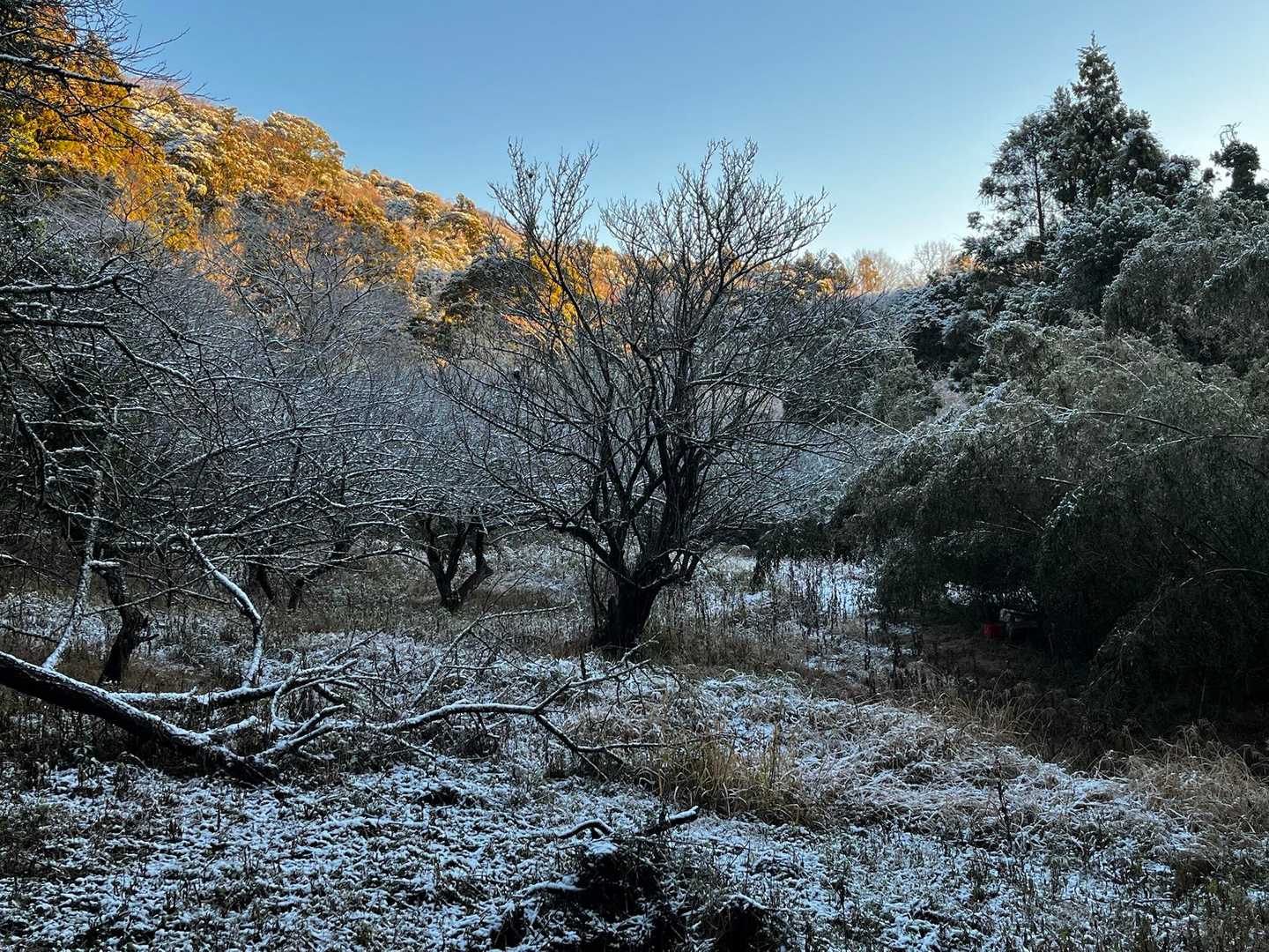 伊予ヶ岳登山口-伊予ヶ岳-伊予ヶ岳 往復コースの写真