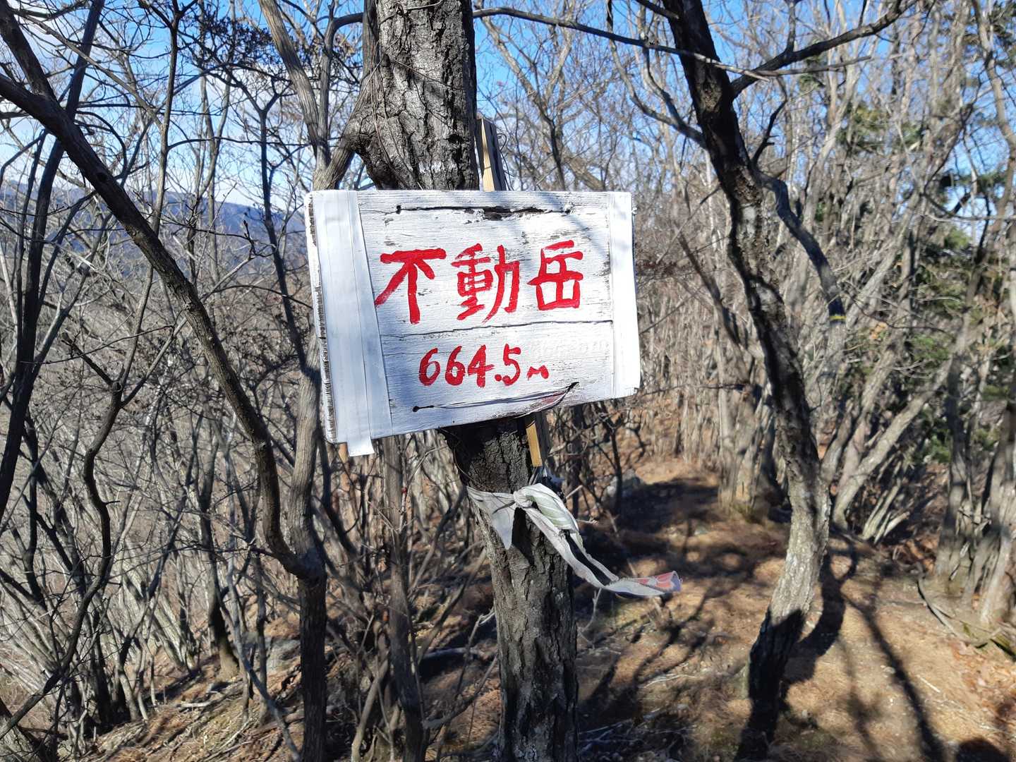 お久しぶりでした‼️