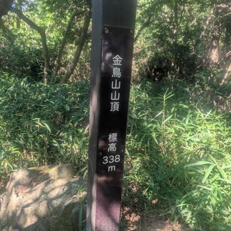 金鳥山