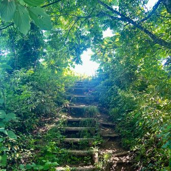 城ヶ平山山頂目前のこの景色はいつも好き