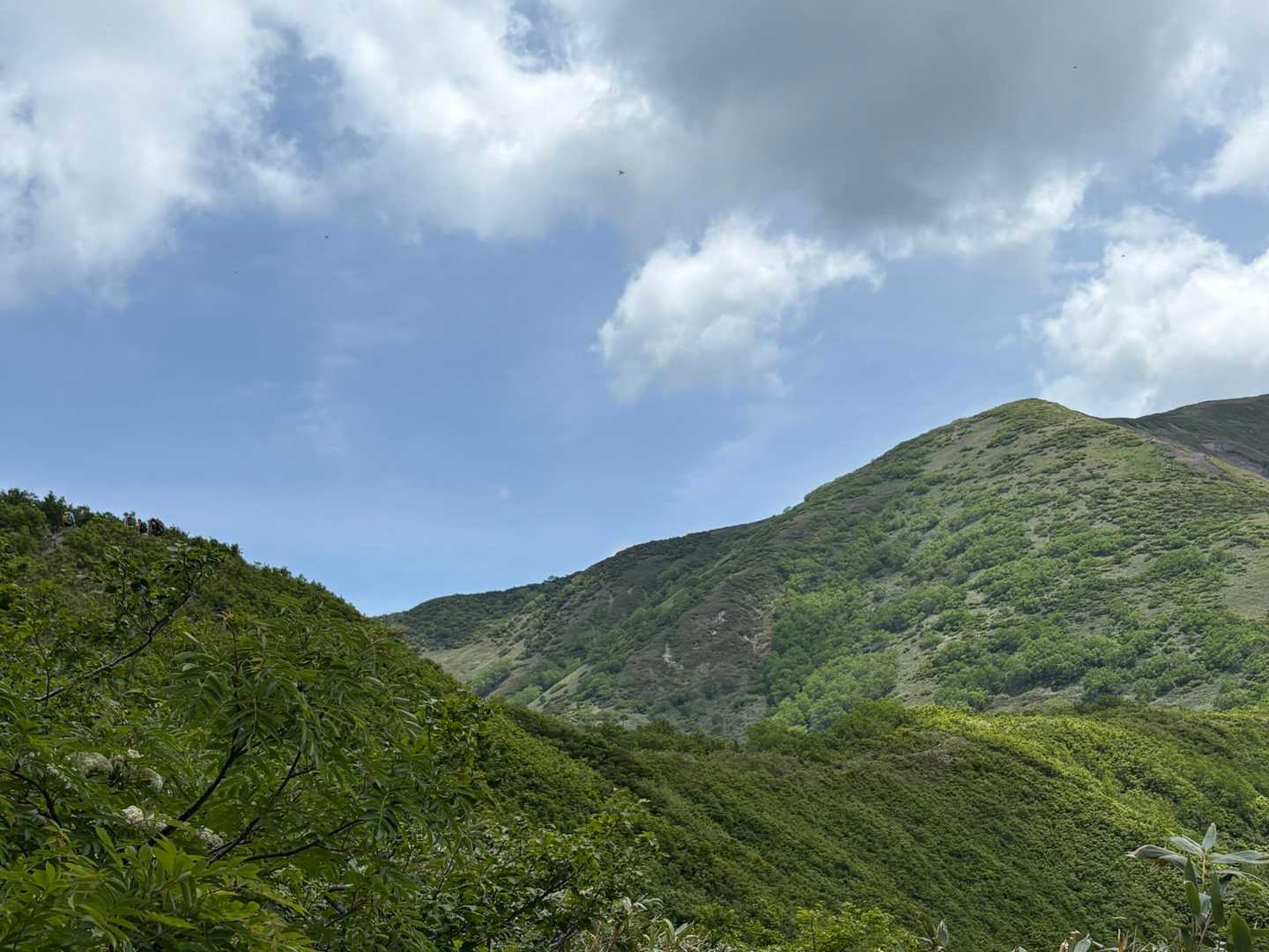 平標登山口-松手山-平標山 往復コースの写真