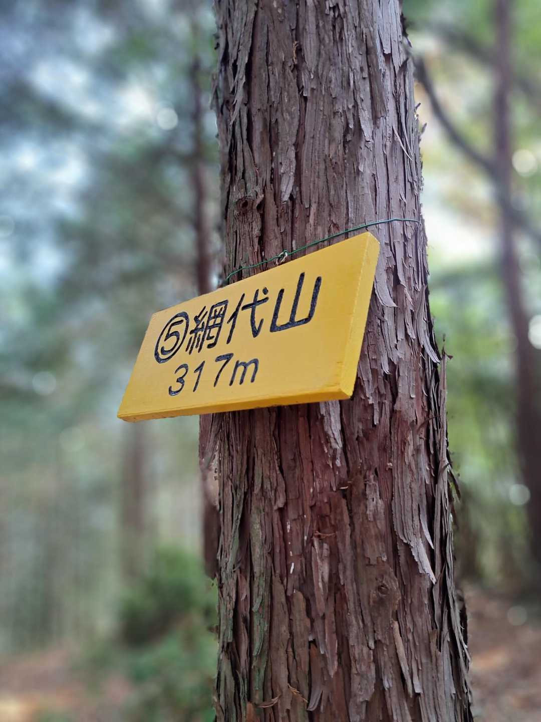 着いた😆１時間かからず🎵お手軽登山⛰️