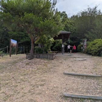 東屋。来た道