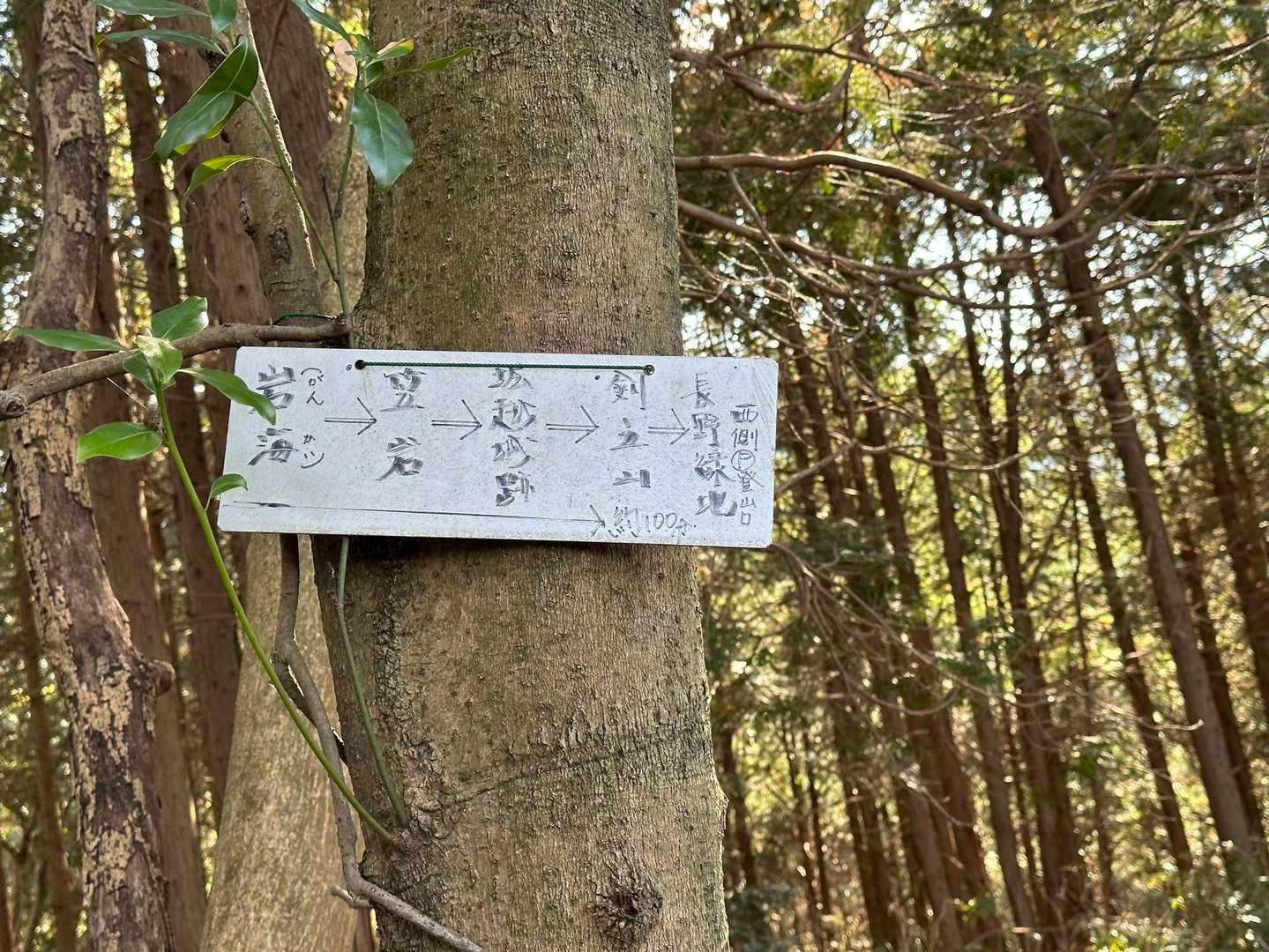長野岳 往復コースの写真