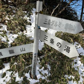 三条の湯も行きたかったが、今日は飛龍山