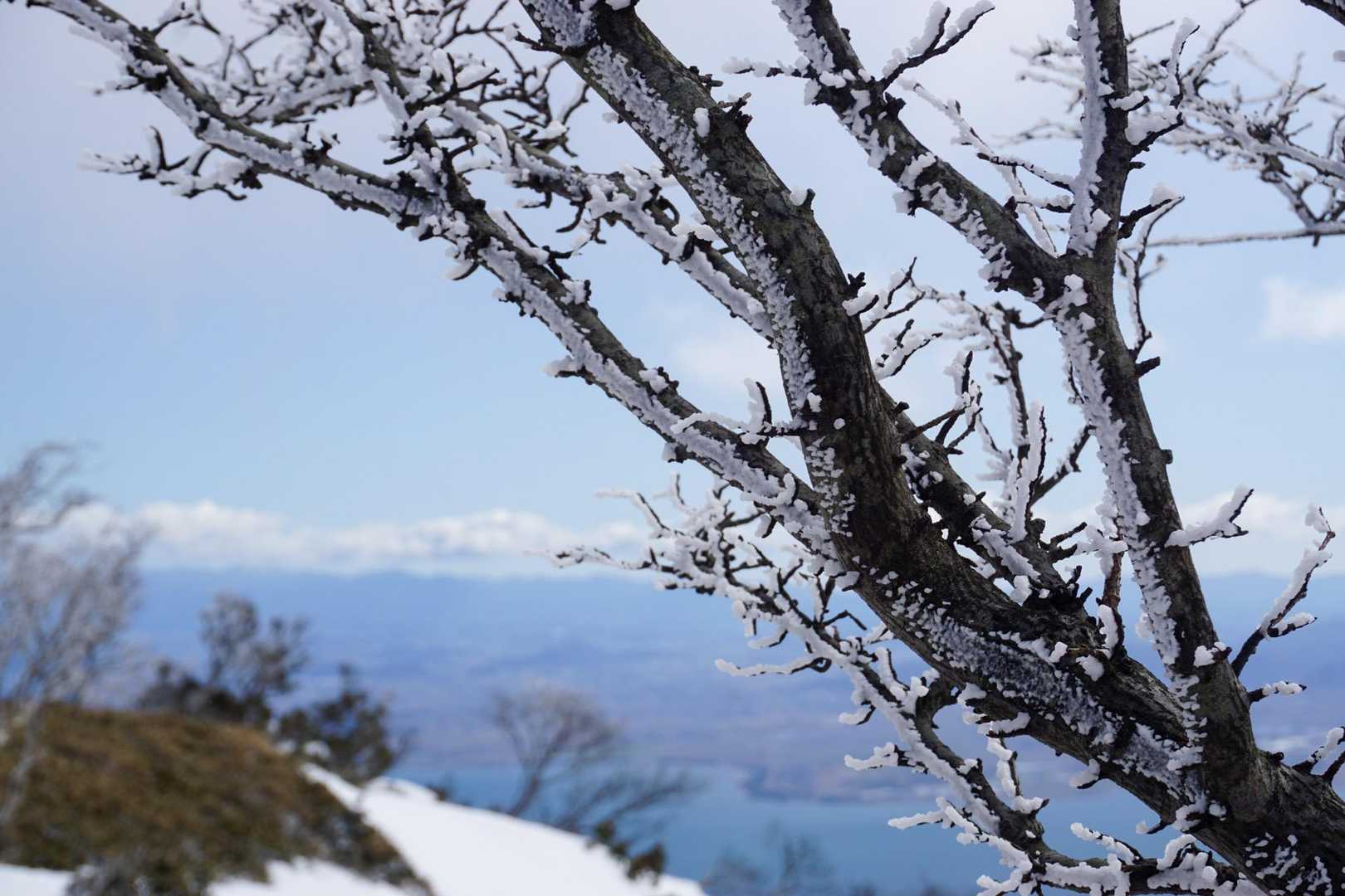 琵琶湖バックに！やや霧氷？