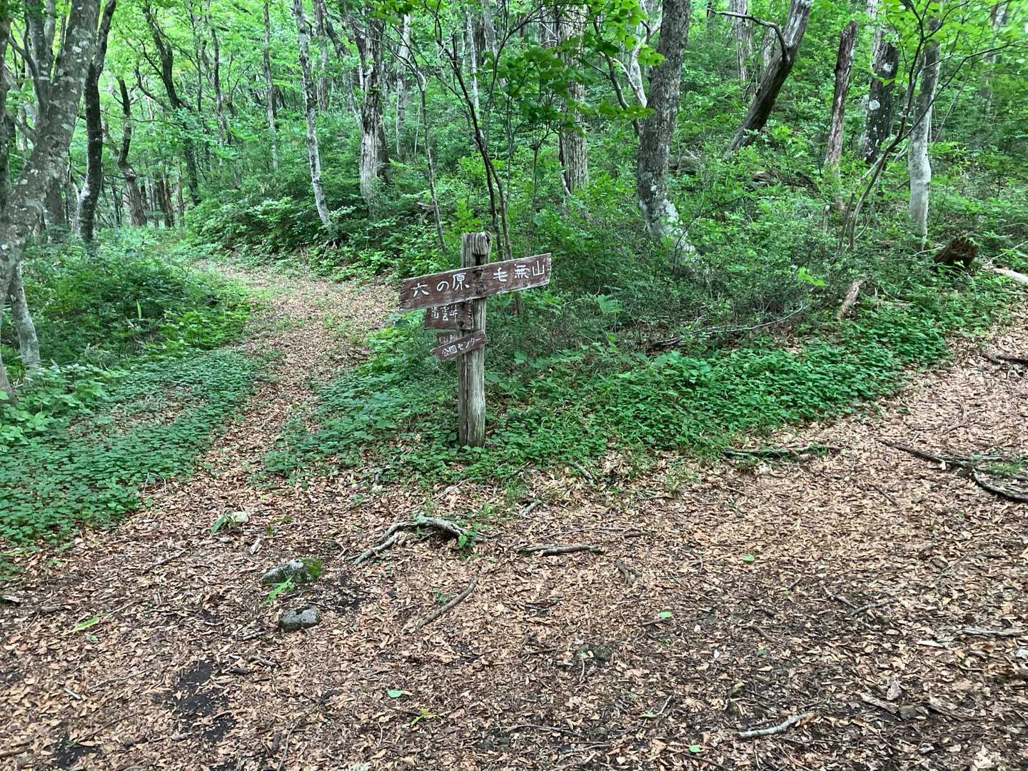 牛曳山登山口-伊良谷山-毛無山 周回コースの写真