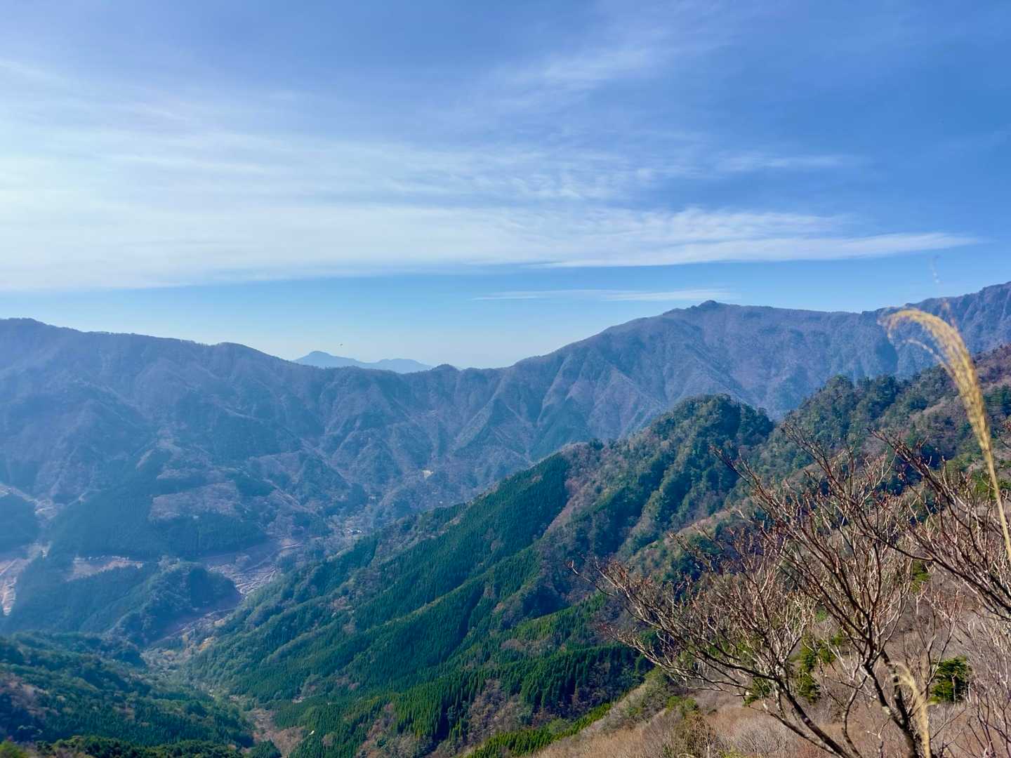 愛山新道登山口-大障子岩 往復コースの写真