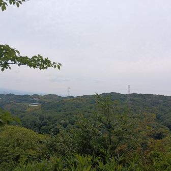 城址を少し登ると、ついに頂上につきました！そこで昼飯をたべました。昼飯を食べたあと高安山へ
高安山頂上は展望なしでした😔