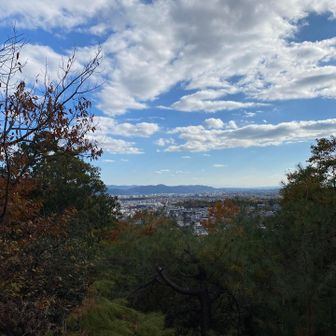 ちょっとだけ眺望良し👌