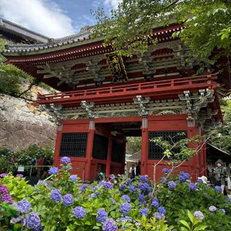 雨引観音⛩️