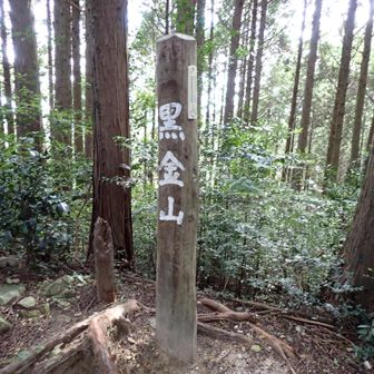 黒金山到着
