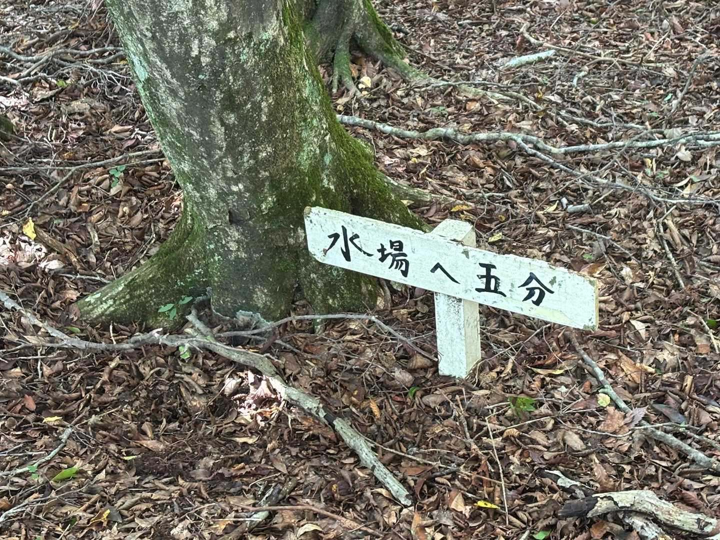 いや、ここまで5分な!!
どこにあるか分からず🙂‍↕️