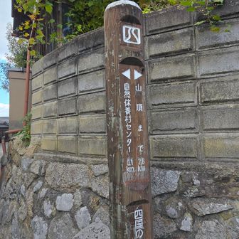 さてこちらから