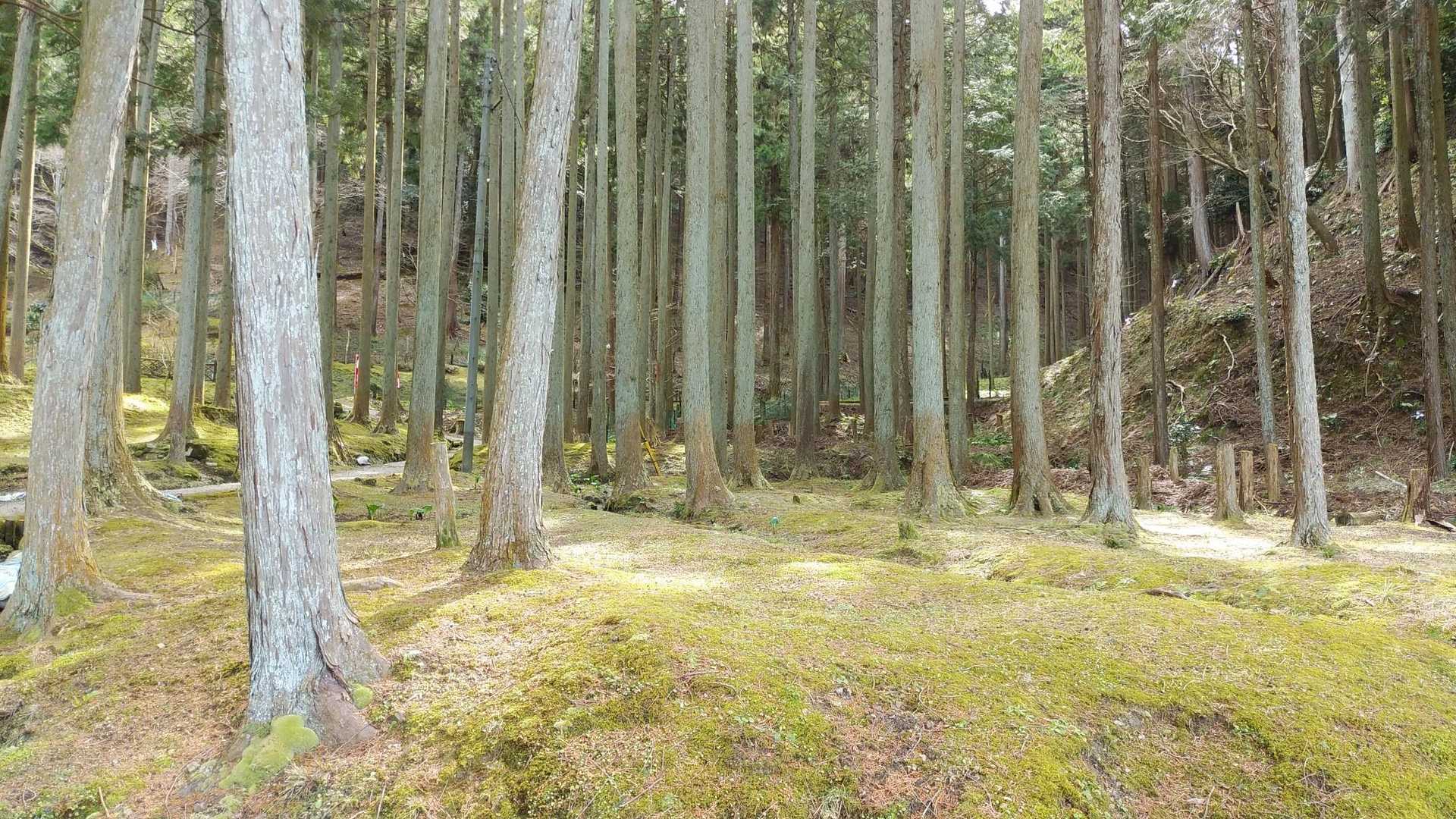 静かです。
水の流れる音しか聞こえません