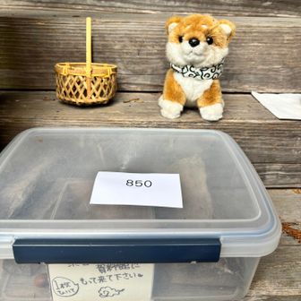 この ぬいぐるみ🐕
すごく可愛い🥰