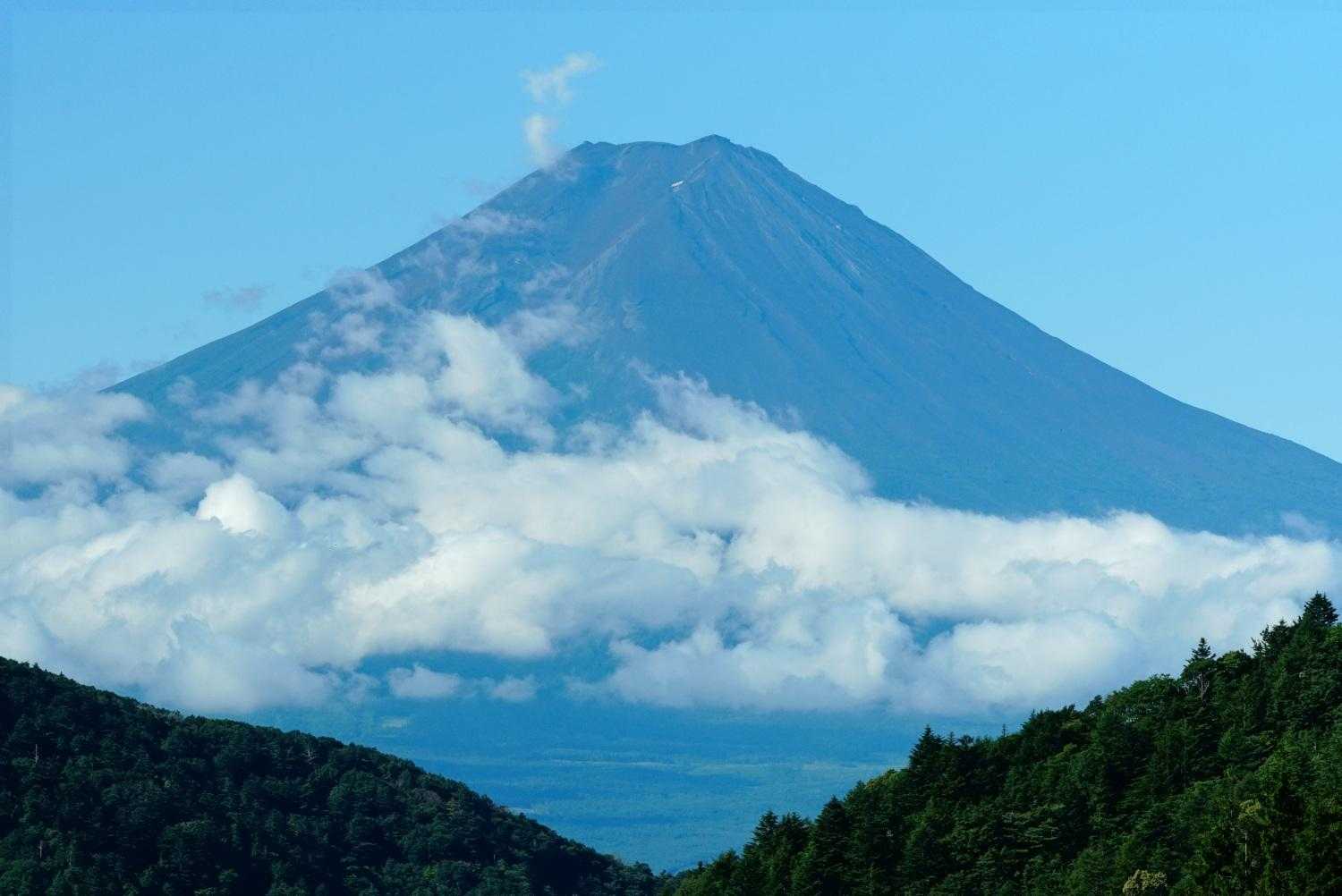 すっかり雪がなくなっている
日向は暑い💦