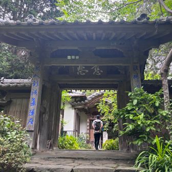 慈光寺は由緒あるお寺っぽくて、とても風情がある。
駐車場にエイドがあるのかな？
公式HPから速報を見つけられなくて、ノリさんがどの辺りにいるのか気になる我ら。
運良く大会スタッフさんが通りかかったので、エイドの場所を聞いたら…HPから速報のページを教えてくれたよ！🙌

ノリさんはどこら辺なのかな？？
えぇーーーーっ‼️
もう30分前に慈光寺エイドを通過しちゃってるの⁉️😳
生ビール2杯も飲んで、のんびりしてる場合じゃなかった💦