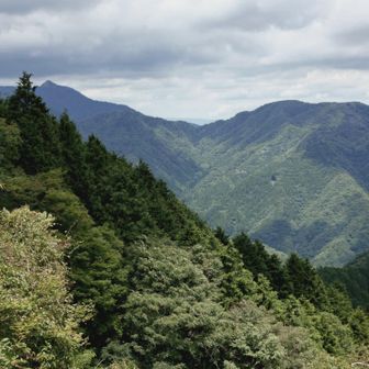 入道ケ岳の斜面が